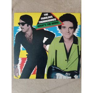 The fabulous Thunderbird what's the word vinyl